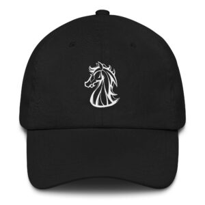 Cool Knight hat